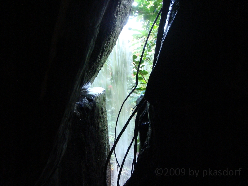 Western Michigan [2009] 166.JPG - Scenes from Frederik Meijer Gardens & Sculpture Park.